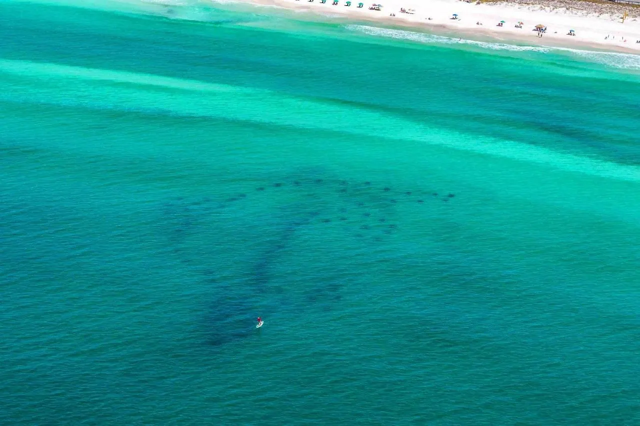 Our Summer House Destin 0*,